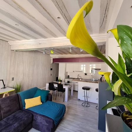 Ferienwohnung T2 D'Architecte A Troyes Exterior foto